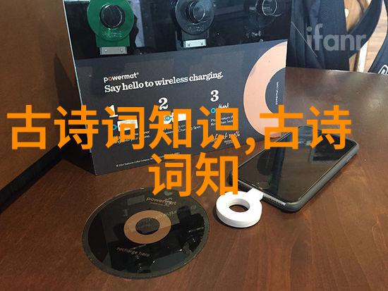 要听谎言的公主
